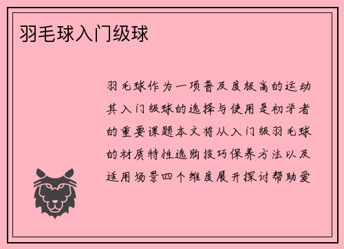 羽毛球入门级球